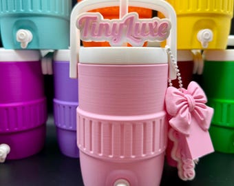 Custom Mini Igloo Can Cooler | Two-Tone Colors, 12oz-24oz Sizes | Straw Topper Lip Balm Can Tab Opener BUNDLE SHIPS FREE