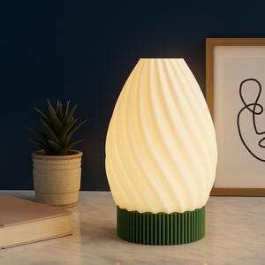 May include: A glowing, egg-shaped lamp with a cream-colored, swirled design and a green base. A framed line art print and a potted succulent are visible in the background, along with a closed book.