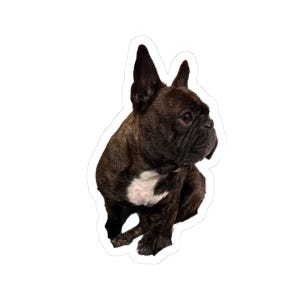 French Bulldog Kiss-Cut Stickers, Cute Dog Decals for Pet Lovers, Laptop Decor, Gifts for Dog Owners, Pet-Themed Stickers