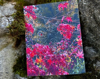 Hallowed Beauty Print, Spiderweb Print,