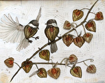 Original Watercolour Painting - Physalis