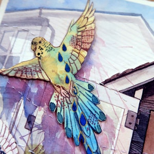 Original Watercolour Budgies Bird Painting Happy Birb Drop image 4