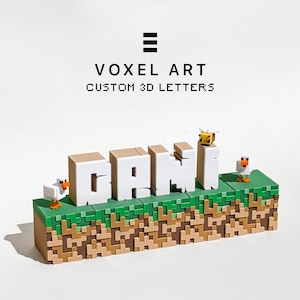 Può includere: Un'esposizione artistica voxel 3D personalizzata che indica il nome "DAN". Le lettere bianche con la parte superiore beige sono poste su una base pixelata verde e marrone. Include un'ape pixelata e due polli pixelati. Il testo "VOXEL ART CUSTOM 3D LETTERS" è sopra.