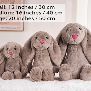 May include: Three plush bunny rabbits in varying sizes. The smallest is 12 inches, the medium is 16 inches, and the largest is 20 inches. Each bunny is gray with a pink nose. The text on the image reads: Small: 12 inches / 30 cm, Medium: 16 inches / 40 cm, Large: 20 inches / 50 cm.