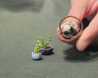 OOAK 1:12 Scale Realistic Miniature Rabbit "Cookie"