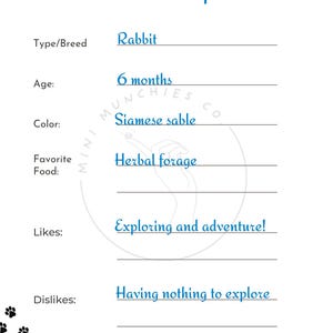 May include: A white card with the text "Hello! My Name is: Caspar" in blue. The card lists Caspar's details: Rabbit, 6 months old, Siamese sable, likes herbal forage, exploring and adventure, and dislikes having nothing to explore.