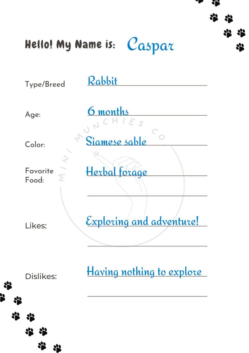 May include: A white card with the text "Hello! My Name is: Caspar" in blue. The card lists Caspar's details: Rabbit, 6 months old, Siamese sable, likes herbal forage, exploring and adventure, and dislikes having nothing to explore.
