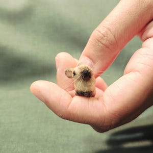 OOAK 1:12 Scale Realistic Miniature Rabbit "Caspar" image 5