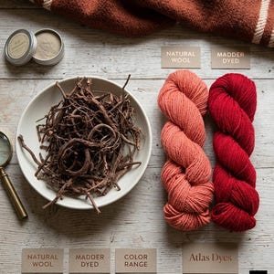 Könnte beinhalten: Draufsicht mit Naturwolle und krappgefärbtem Garn in Korallen- und Rottönen. Eine Schüssel mit braunen Wurzeln, zwei kleine Dosen und eine Lupe sind ebenfalls vorhanden. Der Text "NATURAL WOOL", "MADDER DYED", "COLOR RANGE" und "Atlas Dyes" ist sichtbar.