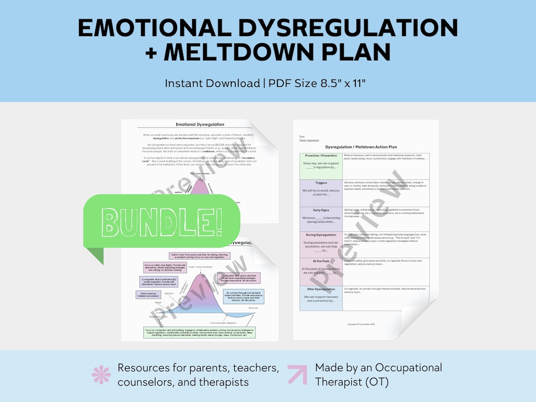 Understanding Meltdowns + Action Plan Bundle: Emotional Dysregulation ...