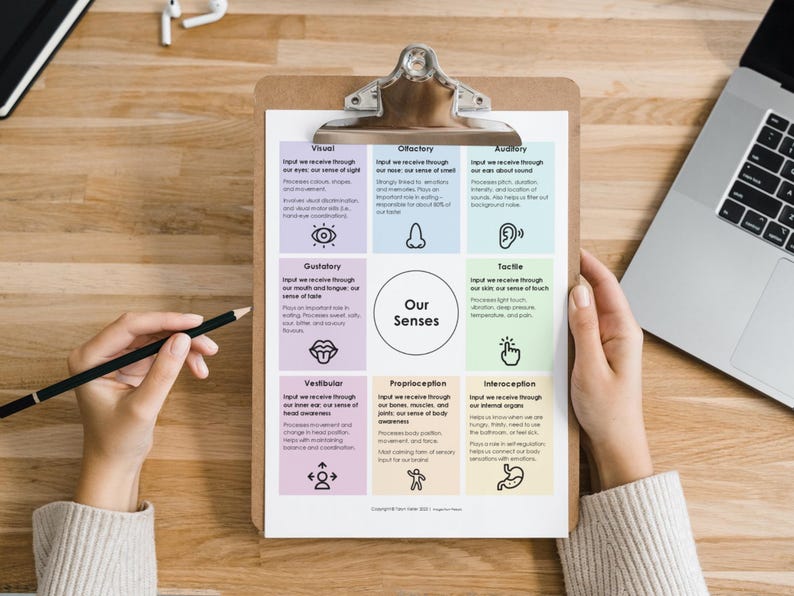 May include: A colorful chart on a clipboard with the title "Our Senses" and descriptions of the different senses: visual, olfactory, auditory, gustatory, tactile, vestibular, proprioception, and interoception.
