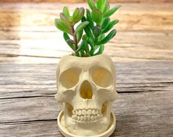 Skull Planter Succulent Pot Gift Human Skull Replica Decor