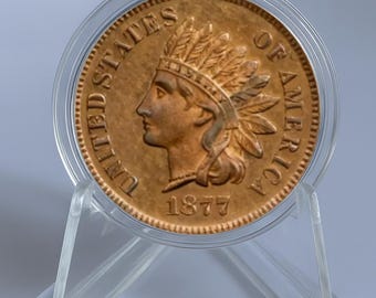 Moneta commemorativa autentica da un penny con testa di indiano del 1877