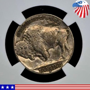 1913 D Buffle nickel  Authentic-Looking Commemorative Coin