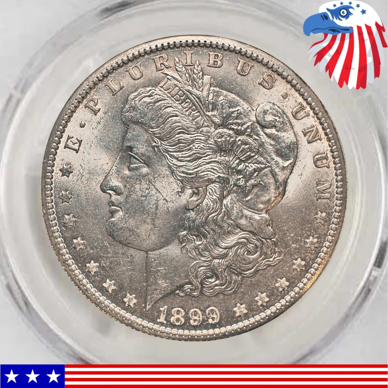 1899 morgan silver dollar - Etsy 日本