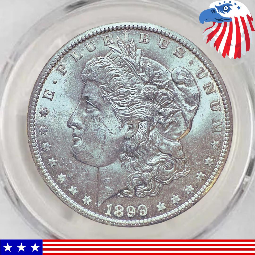 1899 morgan silver dollar - Etsy 日本