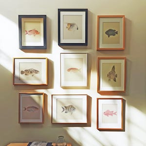 Set of NINE Reproduction Antique Fish Art Prints / Natural History Illustrations, Antique Marine Artwork, Ocean Gallery Wall Sea life Fish