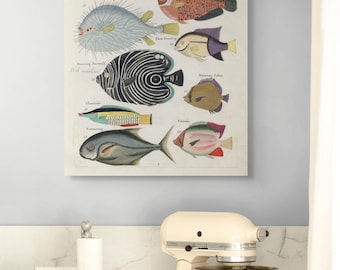 Antique Fish & Crustacean Print: 18th Century Marine Art