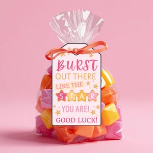 May include: A cellophane bag filled with colourful sweets, tied with an orange ribbon and a gift tag. The tag reads "Burst Out There Like The Star You Are! Good Luck!" in pink and gold lettering, with star accents.