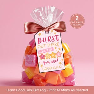 May include: A clear cellophane bag filled with colorful candies, tied with a rose gold ribbon and a tag that reads "Burst Out There Like The Star You Are! Good Luck!" The tag also says "2 Tag Shapes Included."