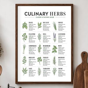 Kitchen Herb Guide Printable, Food Pairing Chart Download, Chef's Culinary Reference Poster Digital Download
