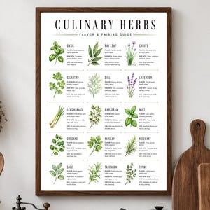 Herb Guide Printable, Culinary Herb Flavor Pairing Chart, Kitchen Print Download