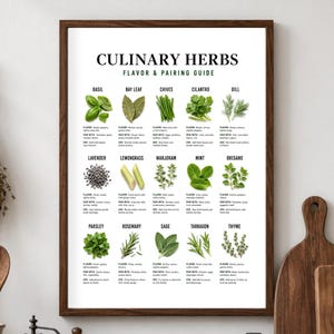 Culinary Herb Guide PNG, Printable Flavor Pairing Chart, Kitchen Download for Chefs