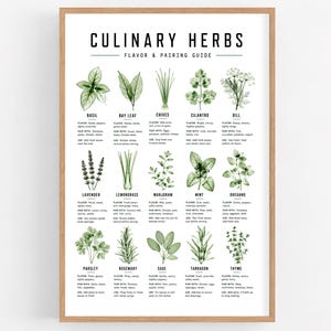 Culinary Herb Guide Print, Herb and Spice Chart Kitchen Poster, Food Pairing and Seasoning Guide Digital Download
