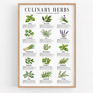 Culinary Herb Guide Printable, Food Pairing Chart Download, Kitchen Decor Digital Download