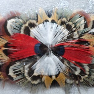 6 in 1 Feather Headband / Choker / Armband / Bracelette / Anklette / Garter on Leather w Laces Pheasant & Parrot OOAK Custom Made image 6