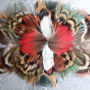 6 in 1 Feather Headband / Choker / Armband / Bracelette / Anklette / Garter on Leather w Laces Pheasant & Parrot OOAK Custom Made image 3