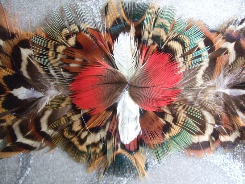 6 in 1 Feather Headband / Choker / Armband / Bracelette / Anklette / Garter on Leather w Laces Pheasant & Parrot OOAK Custom Made image 3