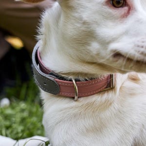 Leather dog collar engraved, Handmade leather dog collar, Leather small dog collar, Large dog collar personalized, Dog collar with buckle