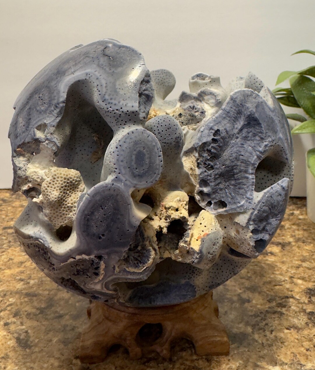 Sphere With Ridges XL 155mm Blue Ridge Coral Sphere W/stand - Etsy