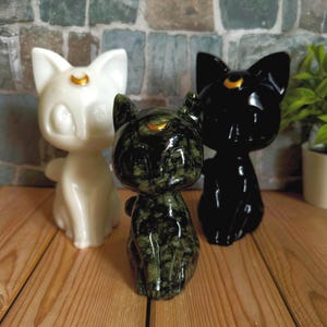 I Suffer Da Obsessive Gatto Disorder Ocd Copricuscino