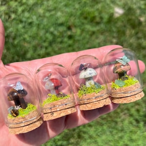 Cute Mini Crystal Terrariums