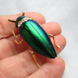 Op de afbeelding: Een juwelen keverbroche met een metallic groene en blauwe iriserende afwerking. De kever heeft goudkleurige poten en antennes en een kop versierd met heldere kristallen. De broche is een decoratief accessoire.