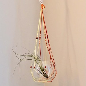 Puede incluir: Un terrario de vidrio colgante con una planta en su interior. El terrario está suspendido por cordones de macramé crema y rojo, acentuados con pequeñas cuentas de madera. La planta tiene hojas largas y delgadas de color verde.