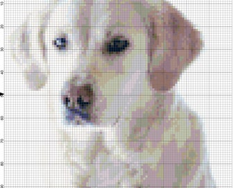 Cross stitch labrador retriever dog pdf pattern