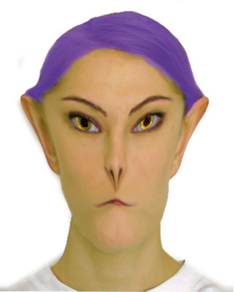 Alien transformation from your photo, Alien digitized photo transformation portrait image 1