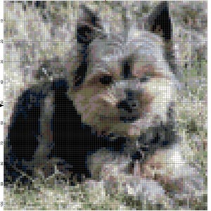 Yorkie terrier dog cross stitch pattern pdf