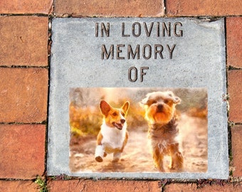 Imagen de pintura digital conmemorativa de mascotas