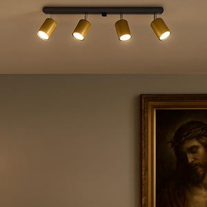 Modern Spot Lamp Metal Ceiling Chandelier Four Lamps Sconce for Living Room or Study Accent Light for Modern Interior Kitchen No Shade Lamp