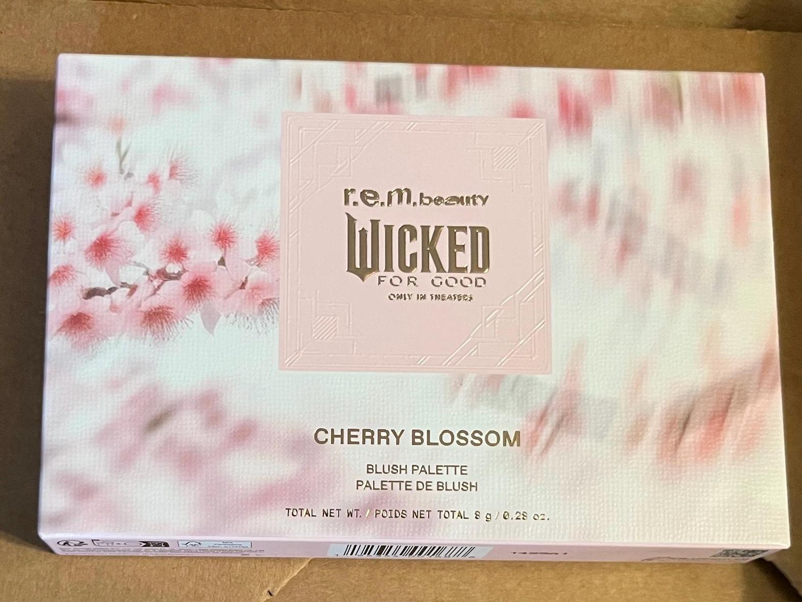 r e m beauty チェリーブロッサム ブラッシュパレット コーラル r e m Beauty Wicked For Good Makeup Collection Review