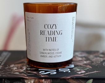 Gemütliche Lesekerze, holziges Sandelholz & Bernstein, Buchliebhaber Geschenk, Kokosnuss Sojawachs, Bücherbox, Geschenk für Leseratten