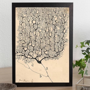 Cajal Neuron Drawing: Antique Brain Anatomy Art Print