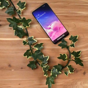 Pode incluir: Um smartphone Samsung Galaxy S10 preto com um fundo azul e rosa na tela. O telefone está sobre uma superfície de madeira com uma videira verde.