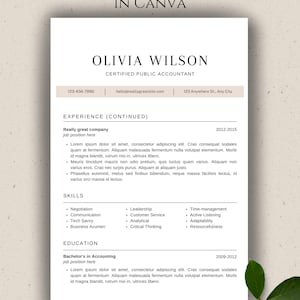 Resume Template Word, Google Docs, Apple Pages Resume, Professional Resume, CV Template, Modern Resume, Minimalist Resume, CV Resume