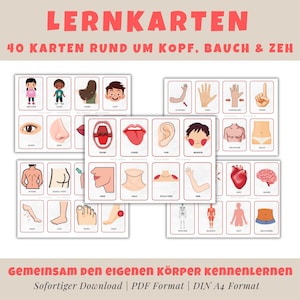 Körperteile Lernkarten für Kinder | 32 Montessori Flash Cards zum Ausdrucken | PDF Lernmaterial für Vorschule, Kindergarten & Zuhause