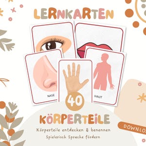 Körperteile Lernkarten Kinder | 40 Bildkarten Körper | Schulter Knie Knöchel | Mädchen & Jungen | Sprachförderung Kita | Download